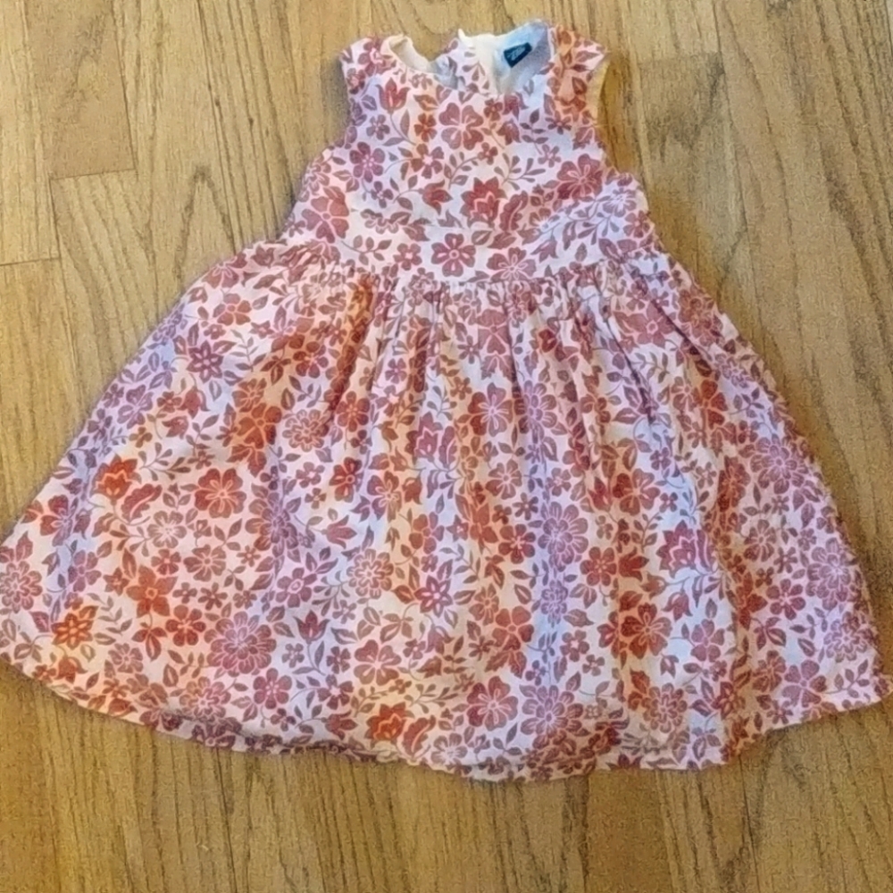 Lot of two Baby Gap toddler dresses size 18-24m